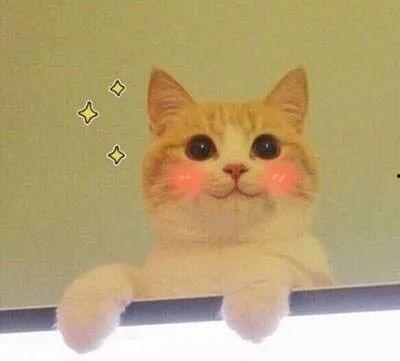 猫猫永不为奴娱乐吃瓜酱,揭秘娱乐圈幕后趣闻